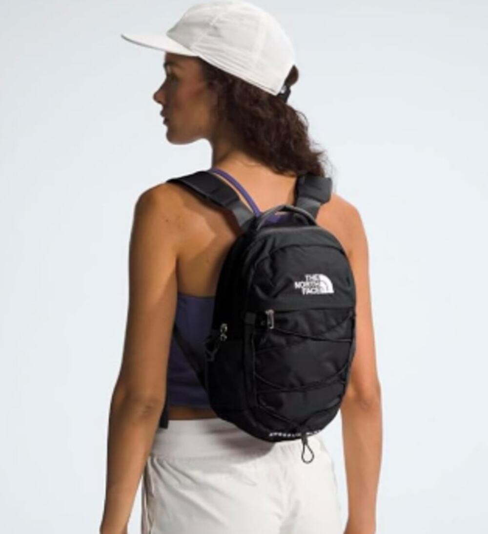 NWT The North Face Borealis Mini Backpack
